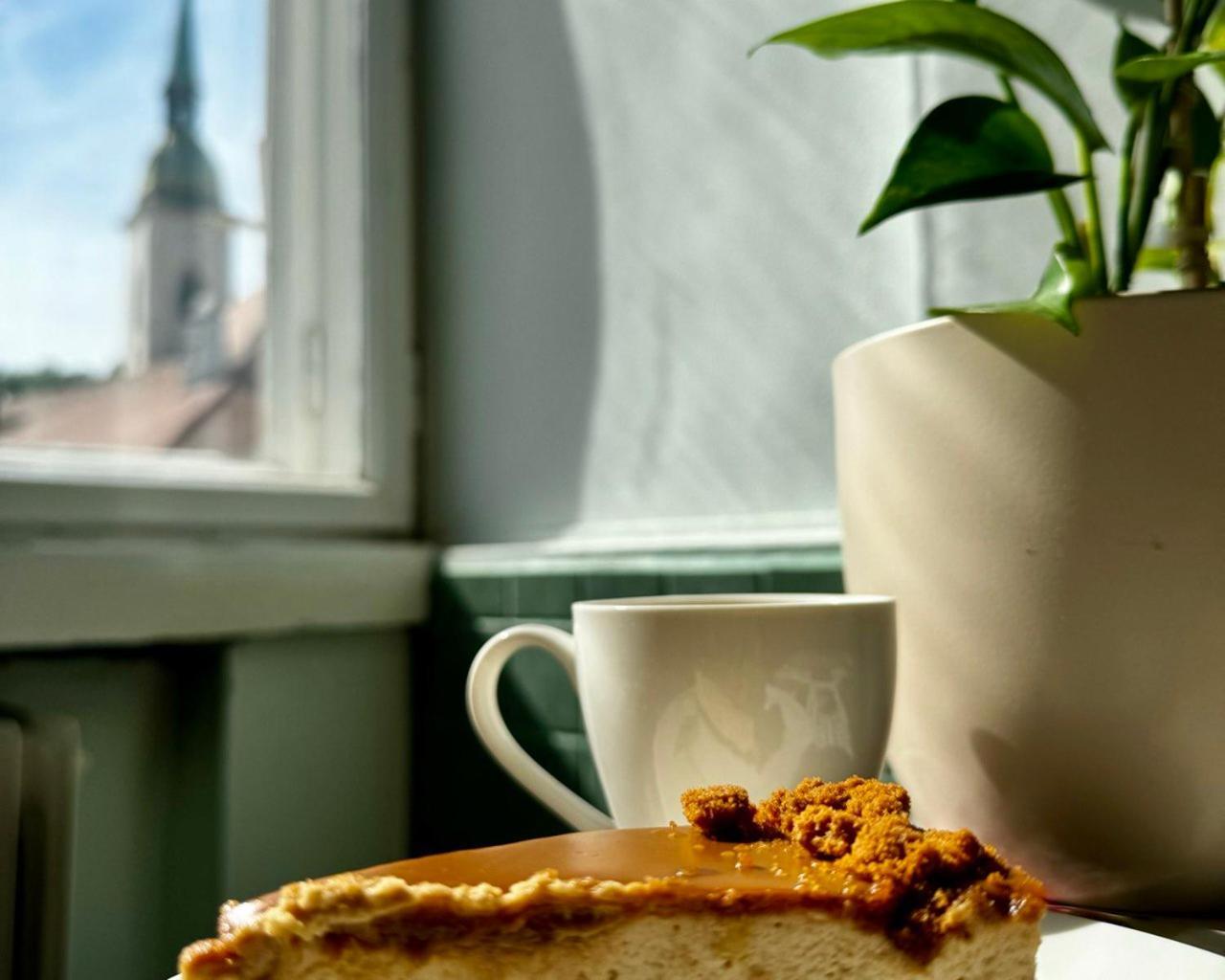 Extralarge Queen Room In The Heart Of Bratislava With Terrace 外观 照片