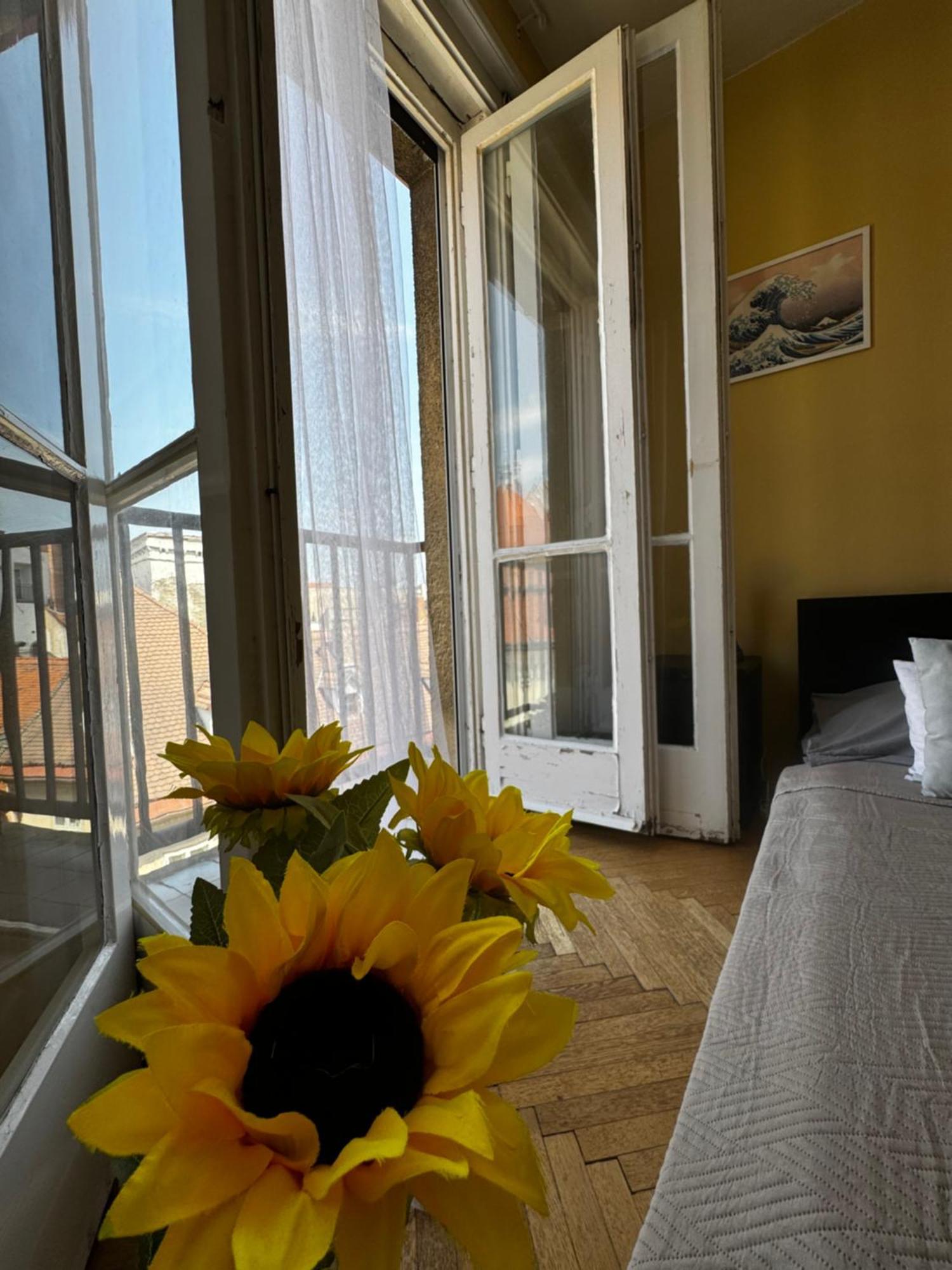 Extralarge Queen Room In The Heart Of Bratislava With Terrace 外观 照片
