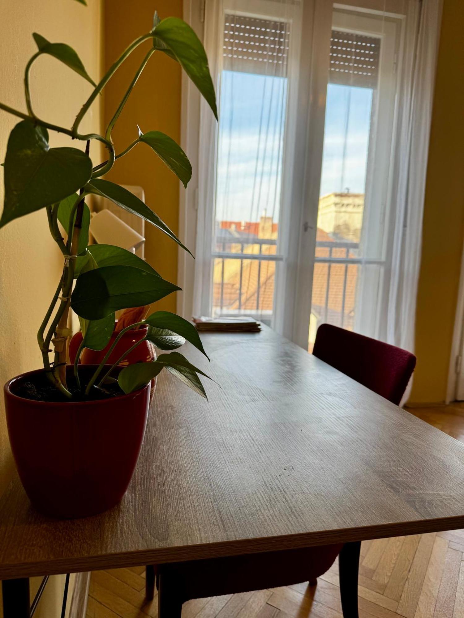 Extralarge Queen Room In The Heart Of Bratislava With Terrace 外观 照片